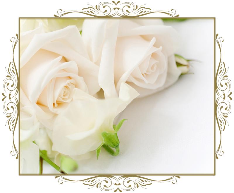 ご成婚者からの声 婚活 お見合い 結婚相談 オーブ